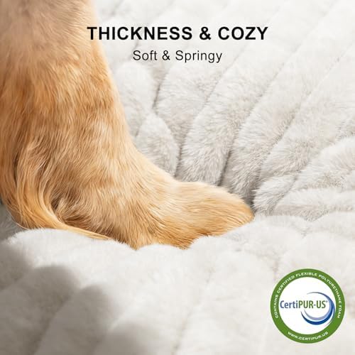 FURTIME Dog Bed for Small Dogs, Washable Orthopedic Dog Bed - Image 3