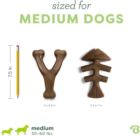 Benebone 2-pack Fishbone/Wishbone Durable Dog Chew Toys, Dog Bones - Image 4