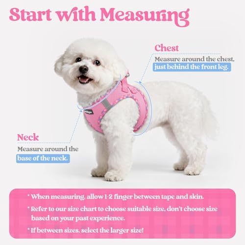 rabbitgoo Dog Harness Medium Sized and Leash Set, Step-in Puppy Pet Vest - Image 2