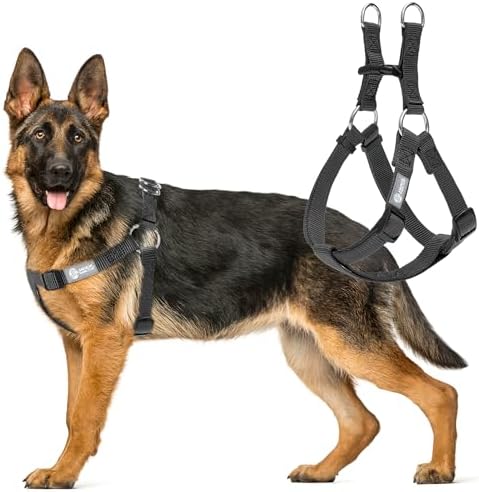 AKC Step-in Dog Harness – Adjustable Solid Color Vest by AmericanKennelClub