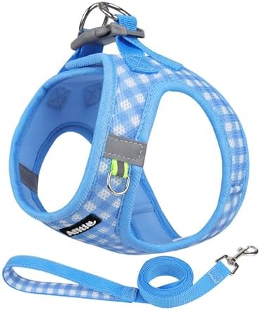 AIITLE Step in Small Dog Harness and Leash Set, Puppy Pet Vest by AIITLE-FORPETSBETTERLIFE