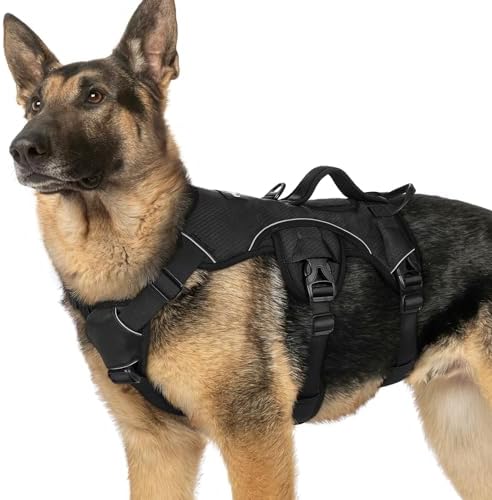 rabbitgoo Escape Proof Dog Harness by rabbitgoo