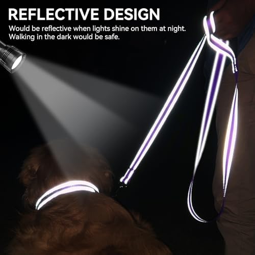 Joytale Reflective Dog Leash for Medium & Large Dogs, 5 FT x 1" - Image 4