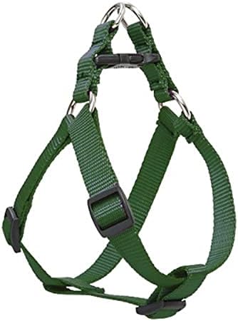 LupinePet Basics 3/4" Green 20-30" Step In Harness by LupinePet