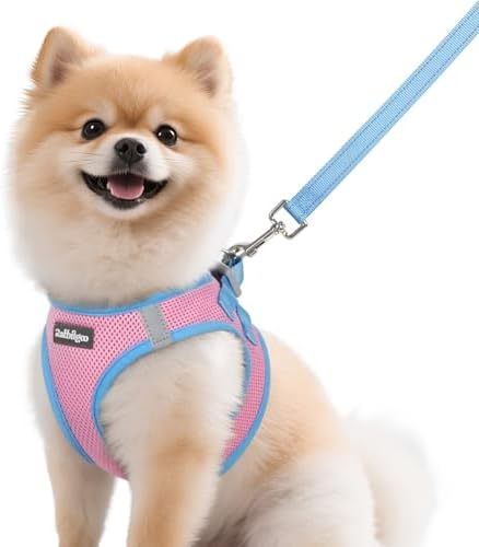 rabbitgoo Dog Harness Small Sized and Leash Set, Step in Soft Vest by rabbitgoo