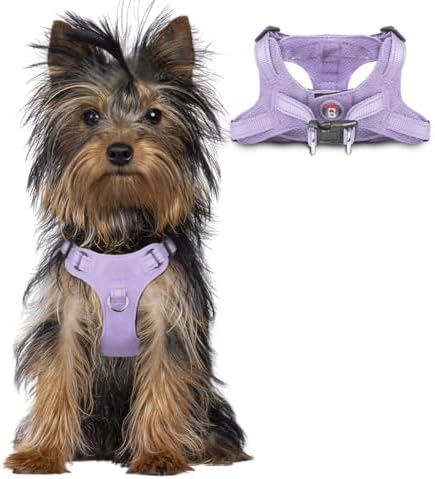 BARKBAY Small Dog Harness, No Pull Puppy Harness, Step-in Dog Vest by BARKBAY