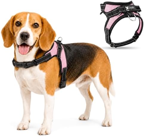No Pull Reflective Adjustable Dog Harness by Copatchy