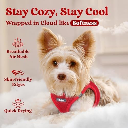 rabbitgoo Step-in Small Dog Harness, Puppy Vest - Image 2