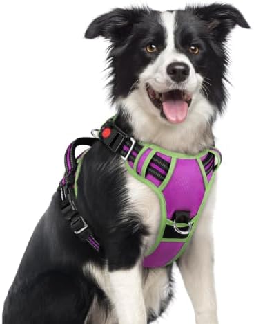 rabbitgoo Dog Harness Medium Sized, No Pull 3 Buckles Easy On & Off by rabbitgoo