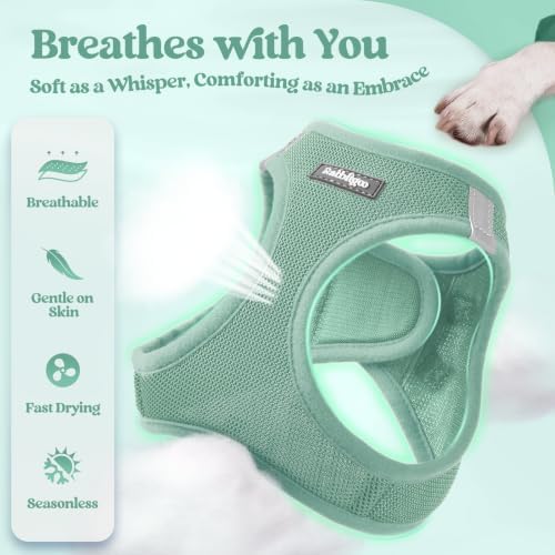 rabbitgoo Dog Harness Medium Sized and Leash Set, Step-in Puppy Pet Vest - Image 4
