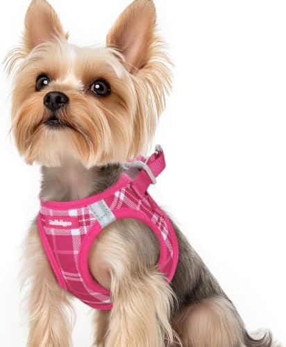 rabbitgoo Step-in Small Dog Harness, Puppy Vest by rabbitgoo