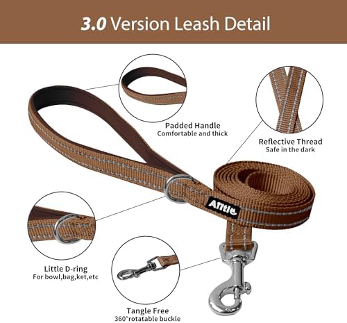 AIITLE Medium Dog Harness and Leash Set, Step-in Puppy Pet Vest - Image 5