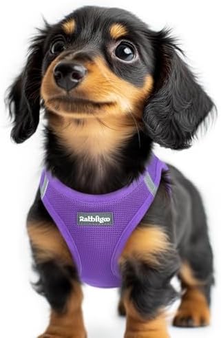 rabbitgoo Step-in Small Dog Harness, Puppy Vest by rabbitgoo