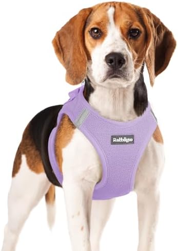 rabbitgoo Step-in Small Dog Harness, Puppy Vest by rabbitgoo