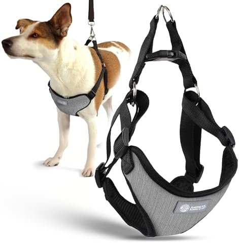 AKC Premium Padded Step-in Dog Harness – Soft Comfort Fit by AmericanKennelClub