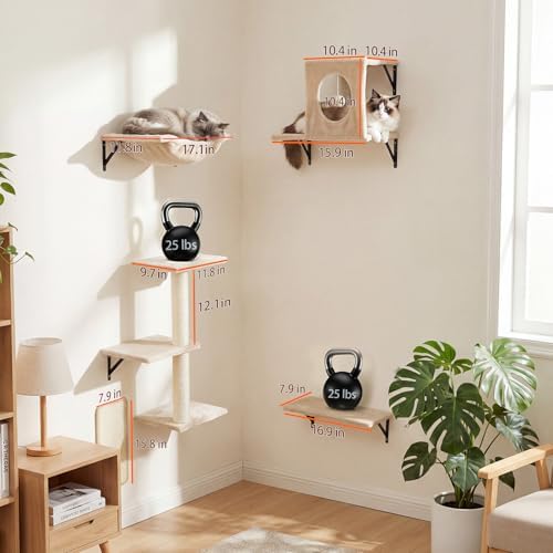 Cat Wall Shelves, Cat Wall Mounted Furniture, Climbing Wall Systems - Image 7