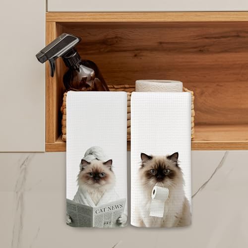 Cat Kitchen Towels Decor Set of 2 - Image 3
