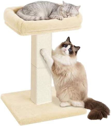Cat Scratching Post with Plush Perch by AGYM