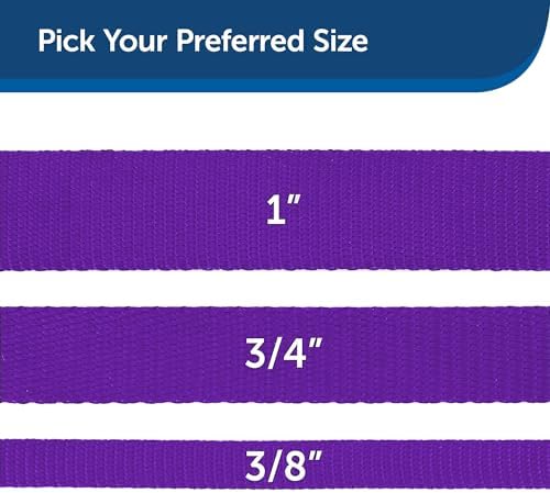 PetSafe Nylon Dog Leash - Image 5