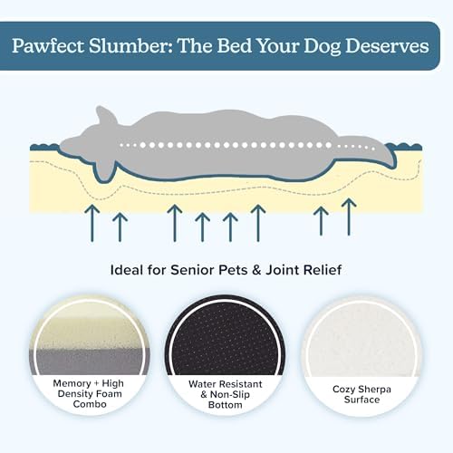 PETMAKER Orthopedic Pet Bed – 2-Layer Memory Foam Dog Bed - Image 5