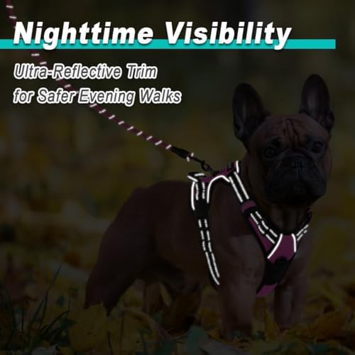 BARKBAY Dog Harness for Small Sized Dog No Pull 2 Leash Clips Dog Vest - Image 5