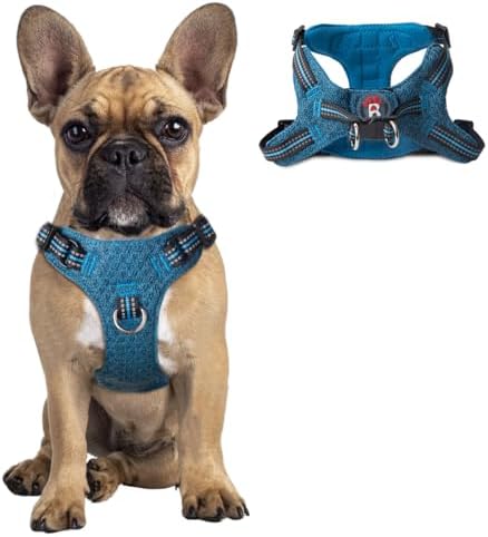 BARKBAY Dog Harness Medium Sized Dog, No Pull Puppy Harness, Step-in Dog Vest by BARKBAY