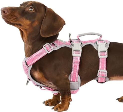 Huntboo No Escape Dog Harness, Escape Proof Harness, Fully Reflective Harness by Huntboo