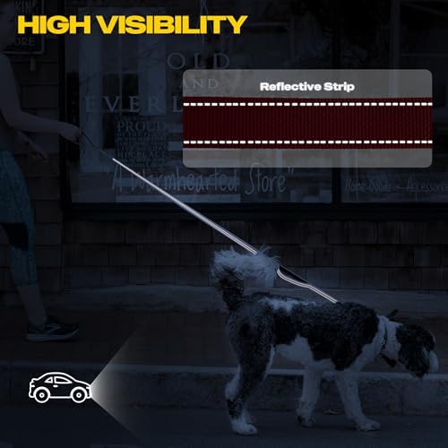 Fida 10 FT Heavy Duty Dog Leash, Dual Padded Handles - Image 5