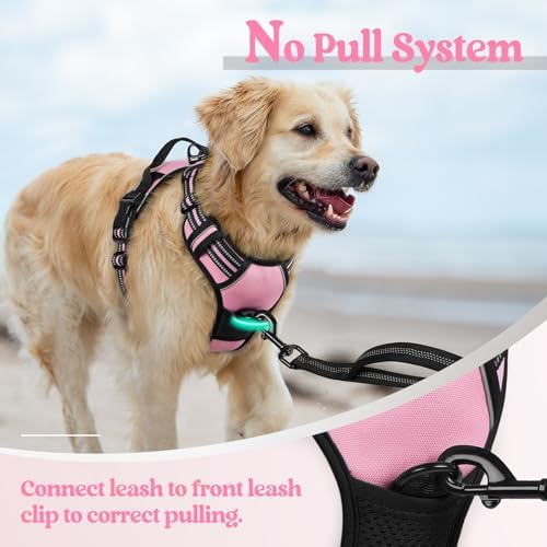 rabbitgoo Dog Harness, No Pull Medium Sized - Image 5