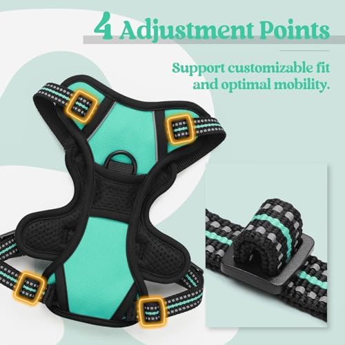 rabbitgoo Dog Harness, No Pull for Small Dogs - Image 4