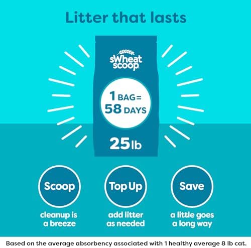sWheat Scoop Natural Wheat Cat Litter, Fast Clumping - Image 6