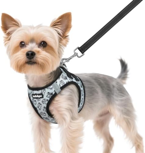 rabbitgoo Dog Harness Small Sized and Leash Set, Step in Soft Vest by rabbitgoo