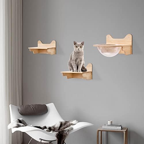 Space Capsule Style Transparent Cover Cat Bed, Wall Mounted Cats Shelf House - Image 2