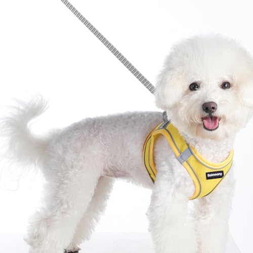 Solmoony Sparkly Small Dog Harness and Leash Set, Step in Soft Light Puppy Vest - Image 2