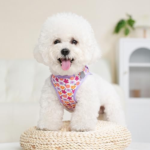 Small Dog Harness with Leash No Pull Reflective Harness - Image 6