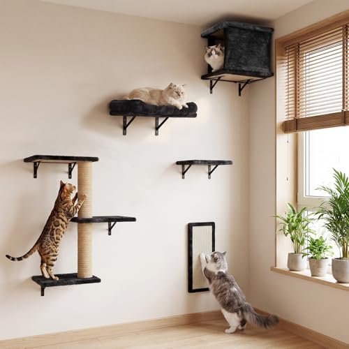 5-in-1 Cat Wall Shelves for Large Cats, Floating Climber by Unknown