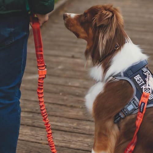 AUROTH Dog Harness for Small Medium Dogs, Tactical No Pull Dog Vest - Image 6