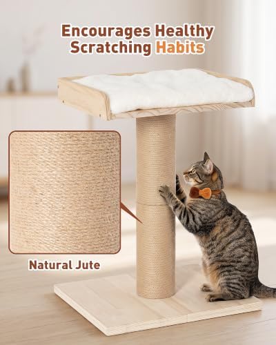 25.2" Cat Scratching Post with Bed, Cat Scratcher - Image 3