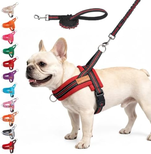 BEAUTYZOO Dog Harness Medium Sized and Leash Set, No Pull Step in Pet Vest by BEAUTYZOO