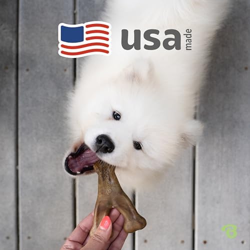 Benebone Wishbone Dog Chew Toy for Aggressive Chewers, Real Bacon - Image 5
