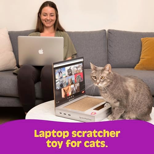 ScratchPad Pro — Cardboard Laptop Cat Scratcher by Relatable - Image 4