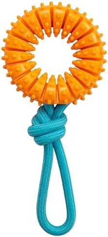 Dental Chew Wheel Durable Dog Toy, Tug & Chew, Mint Scent by Pupstages