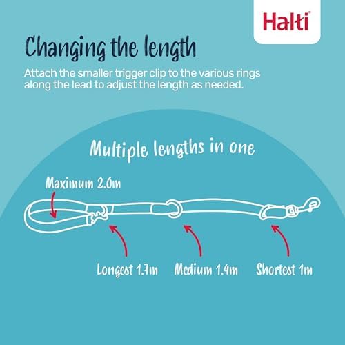 Halti Training Dog Leash | Size S, Cobalt Blue | 2m Length - Image 2