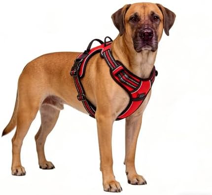 Red No-Pull Dog Harness with 2 Leash Clips，Soft Padded Vest by Unknown