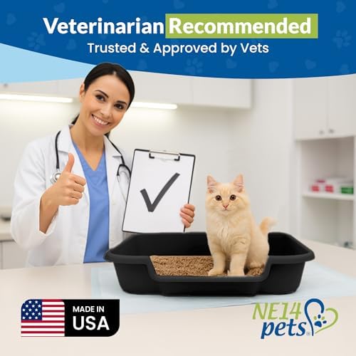 KittyGoHere Senior Cat Litter Box, Large - Image 4