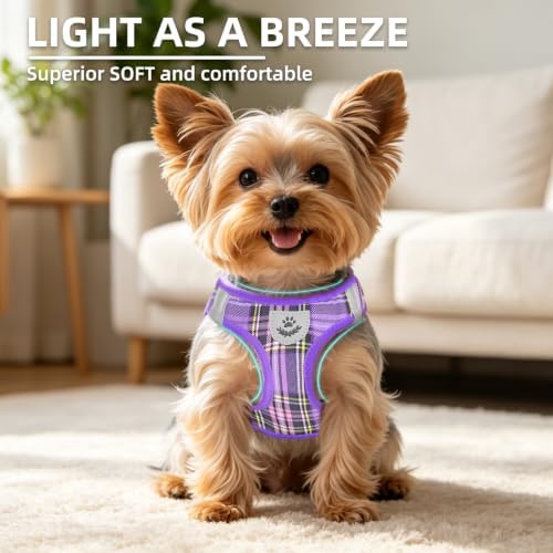 PUPTECK Dog Harness, Collar and Leash Set No Pull - Image 3