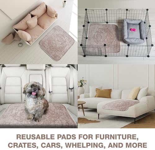 PUPIBOO Washable Pee Pads for Dogs and Cats - Image 5