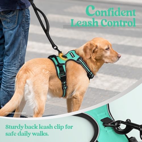 rabbitgoo Dog Harness, No Pull for Small Dogs - Image 6