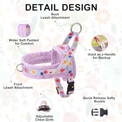 BEAUTYZOO Small Dog Harness and Leash Set, No Pull Step in Puppy Vest - Image 5