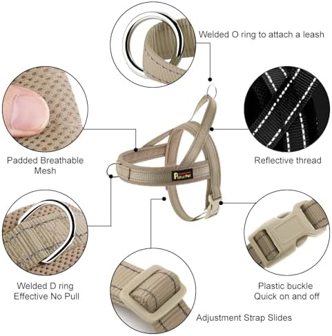 Plutus Pet No Pull Dog Harness for Puppy Small Dogs, Breathable Mesh Padded - Image 2